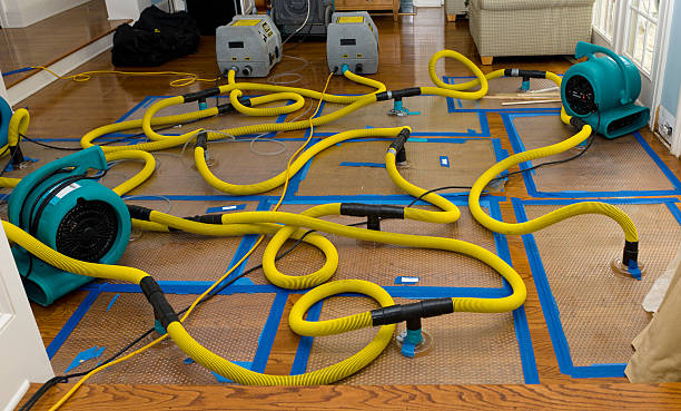 Professional Storm Water Damage Restoration technician working in Corsica, SD